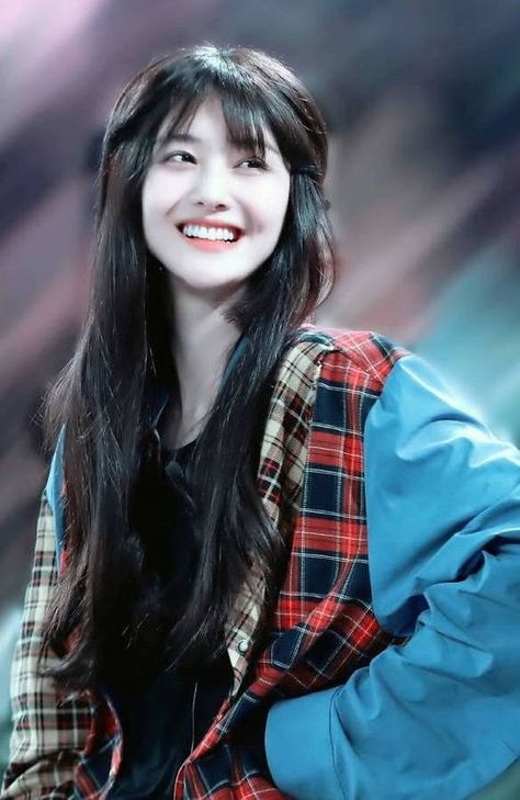 电影动物园里有什么免费观看